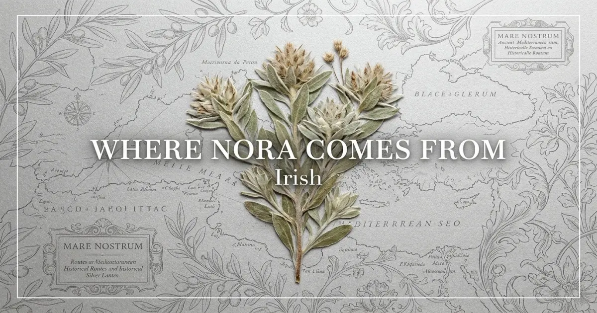 The name Nora comes from: Irish