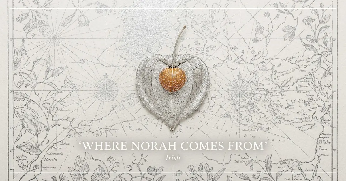The name Norah comes from: Irish