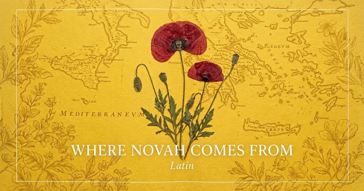 The name Novah comes from: Latin