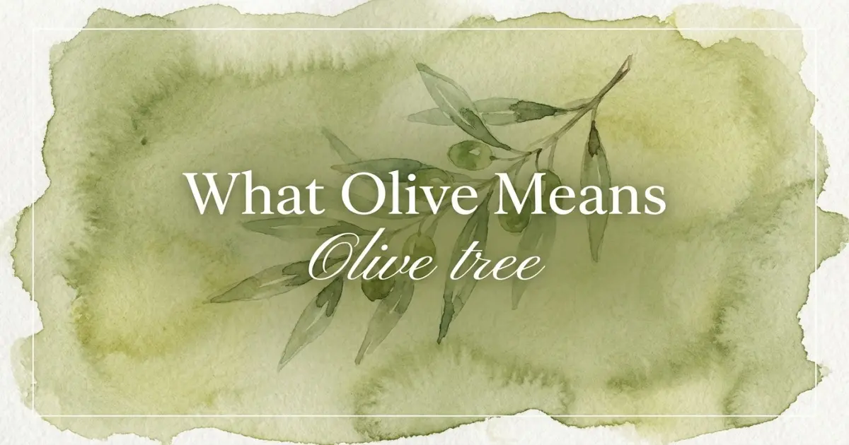 Olive name meaning Olive tree