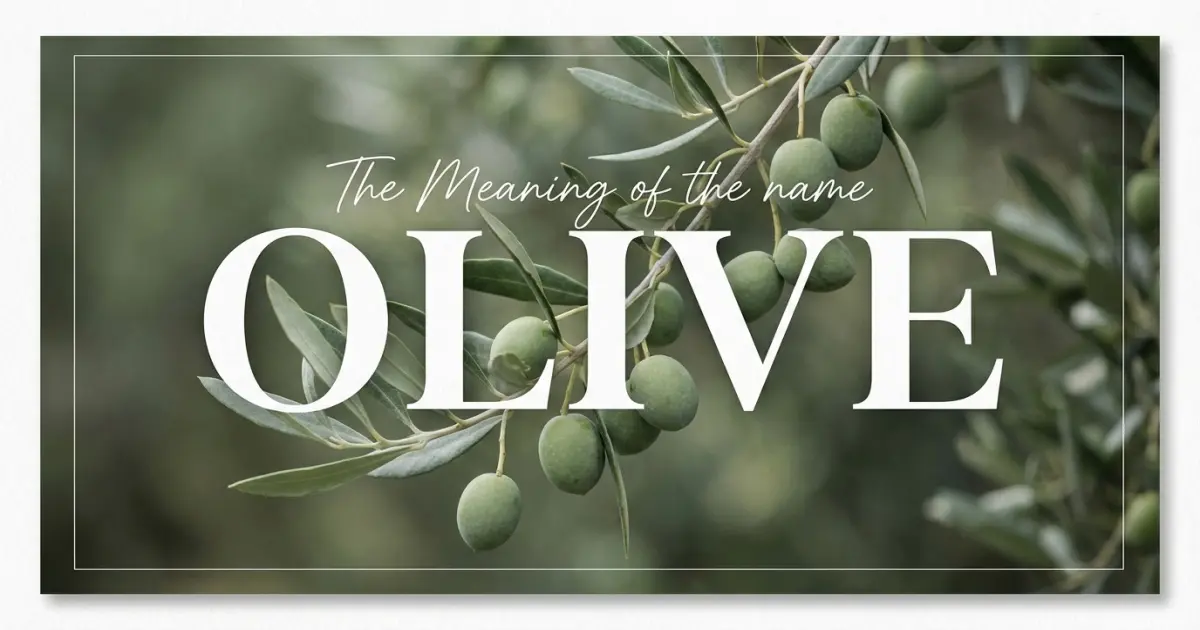 Olive name meaning