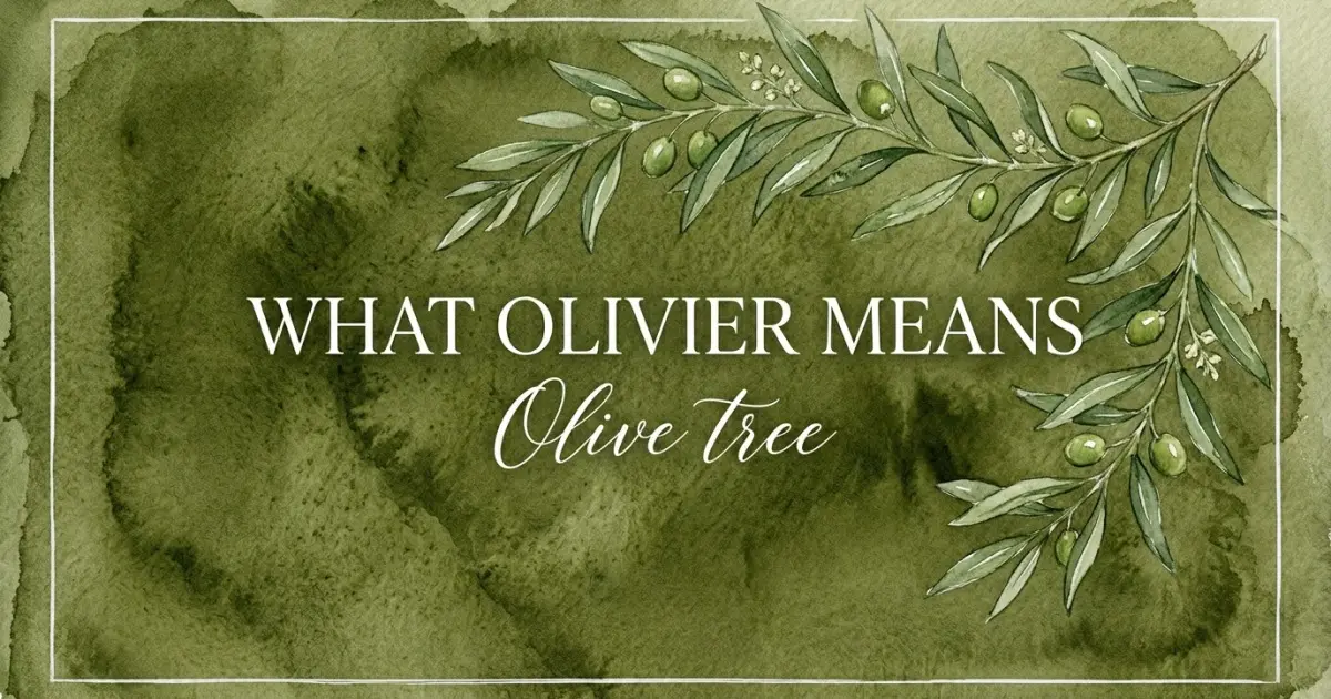 Olivier name meaning Olive tree