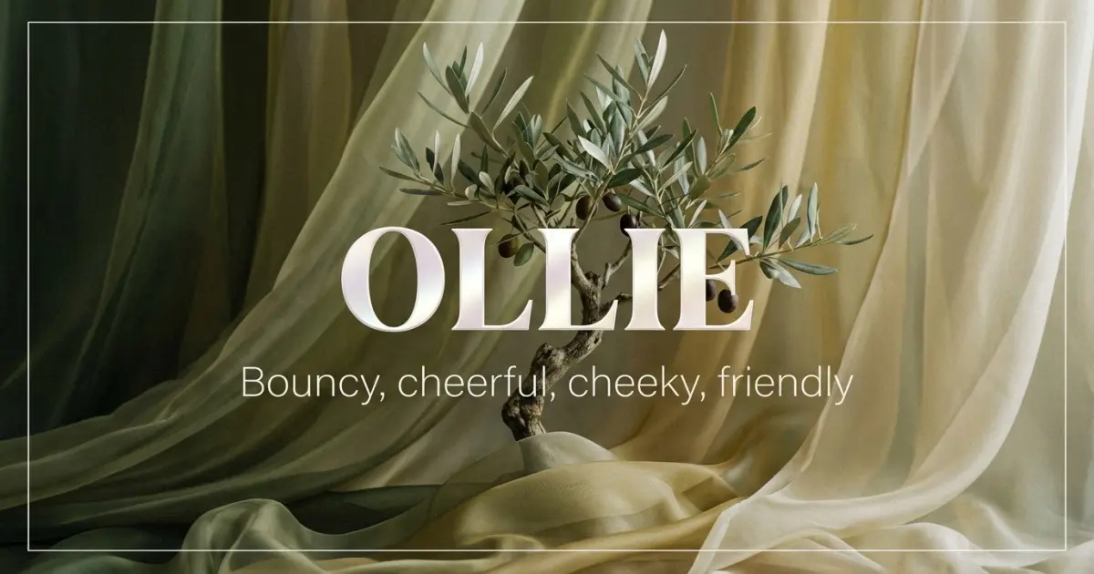 Ollie name vibe: Bouncy, cheerful, cheeky, friendly