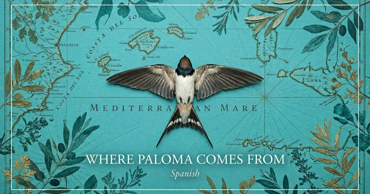 The name Paloma comes from: Spanish