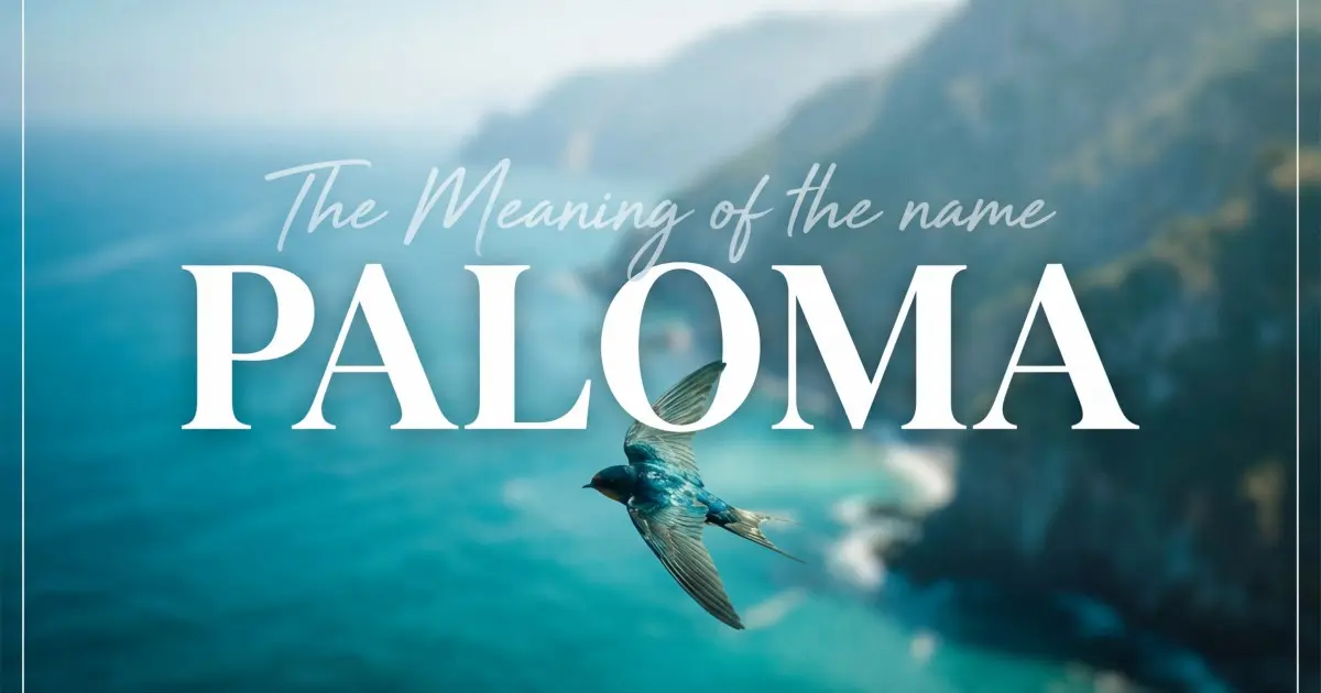 Paloma name meaning