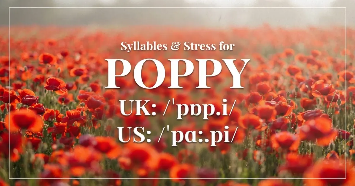 Poppy Syllables Stress Pronunciation