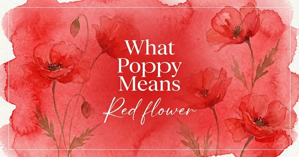 What Poppy Means