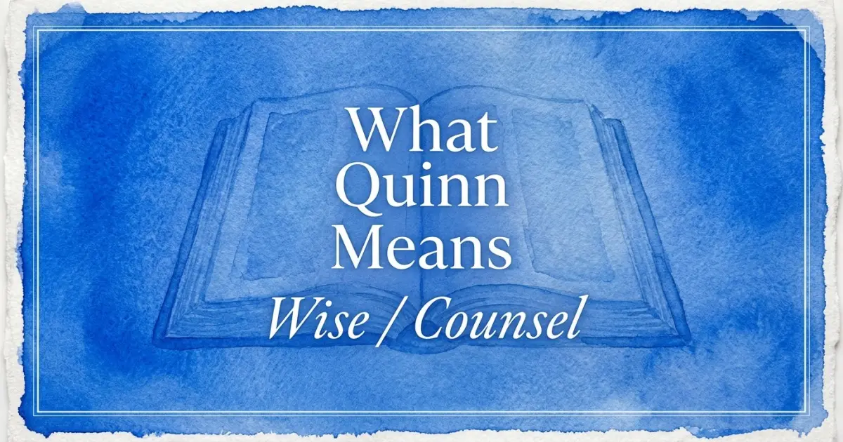 What Quinn Means