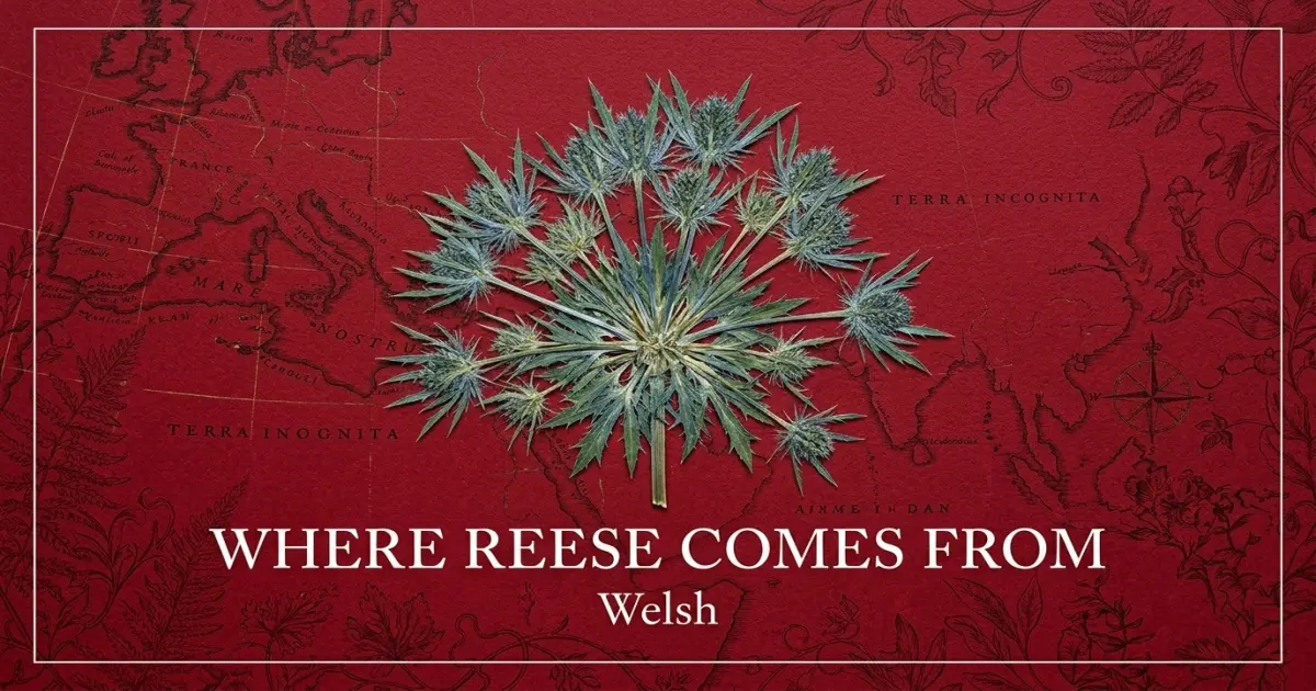 The name Reese comes from: Welsh