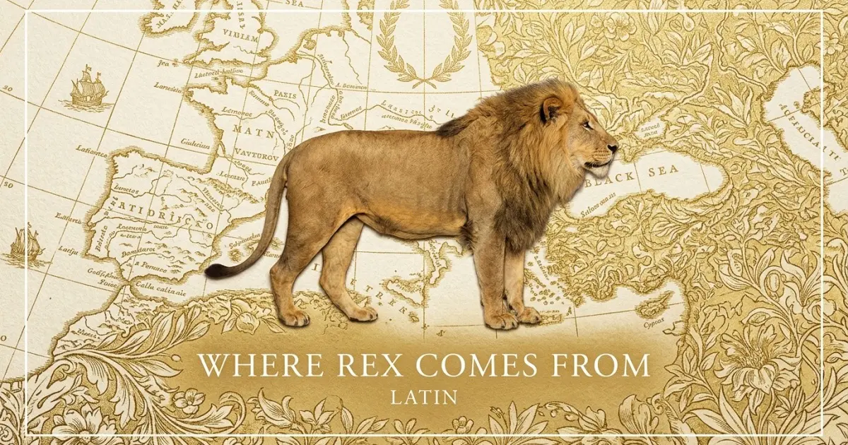 The name Rex comes from: Latin