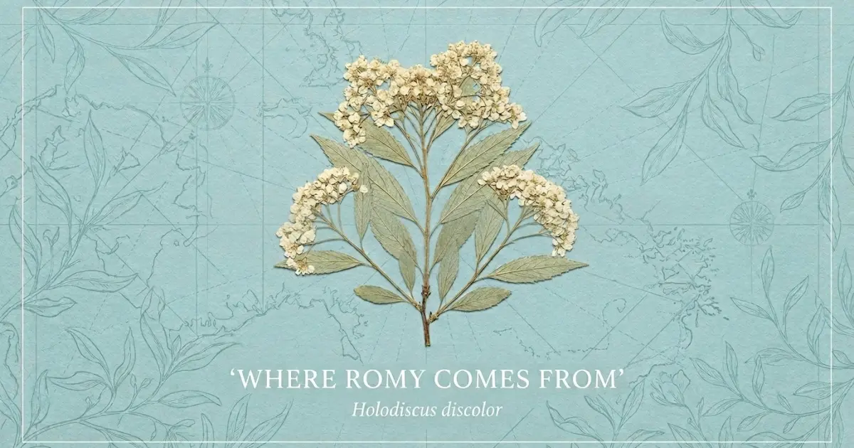 The name Romy comes from: Latin