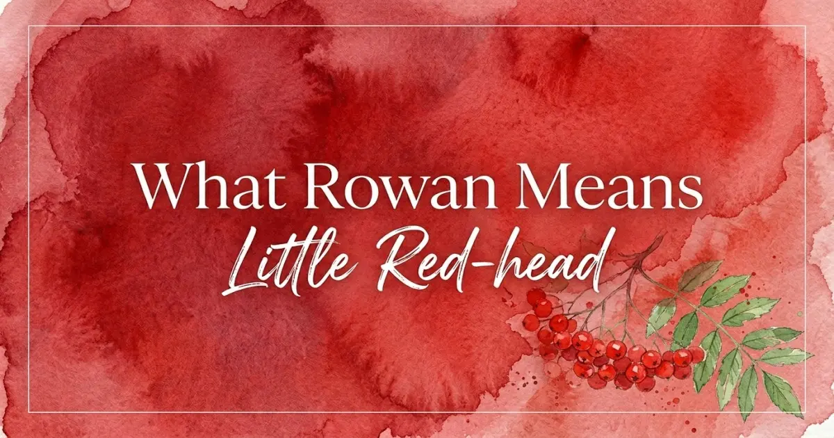 Rowan name meaning Little Red-head
