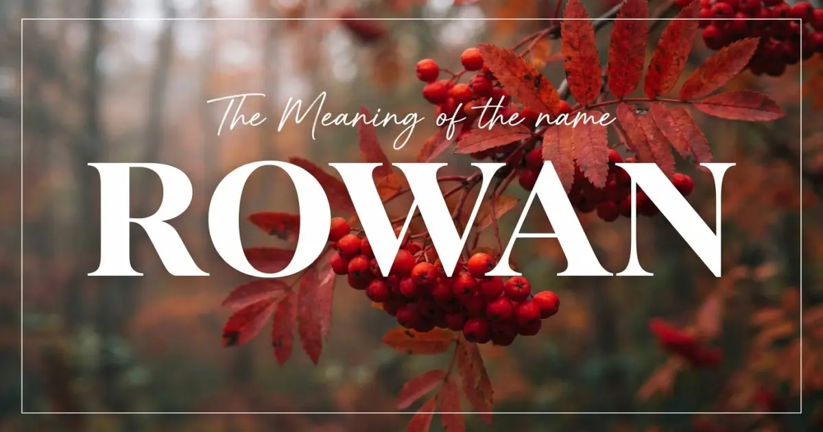 Rowan name meaning