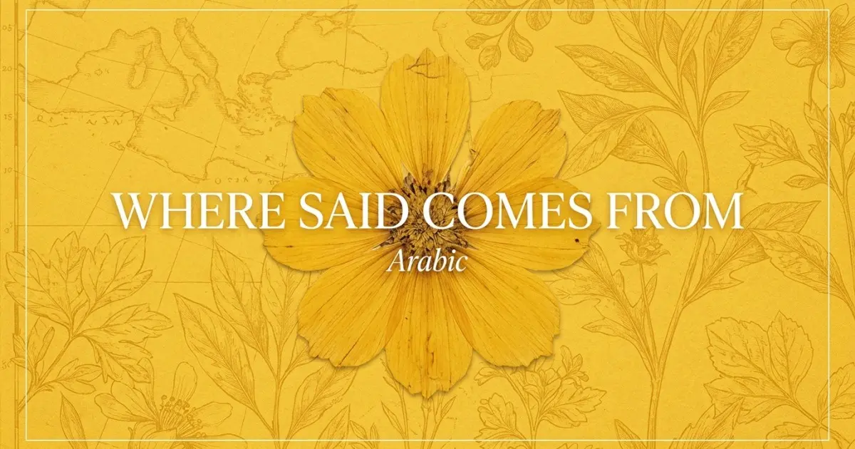 The name Said comes from: Arabic