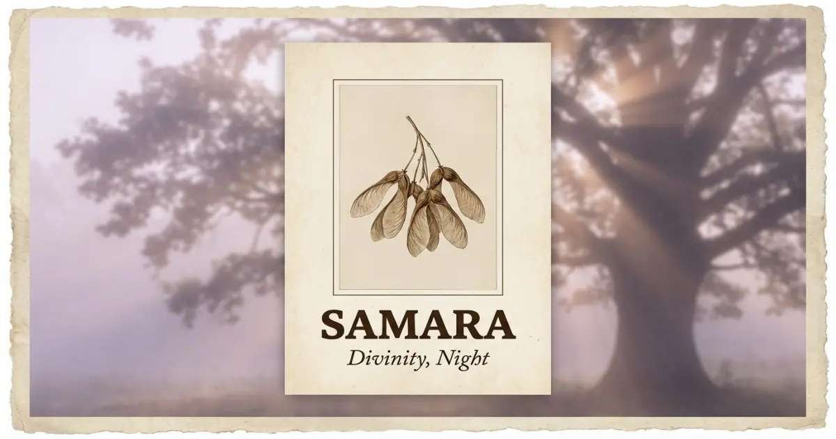 Samara meaning themes: divinity, night