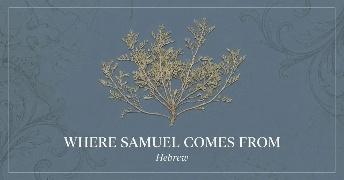 Where Samuel Comes From