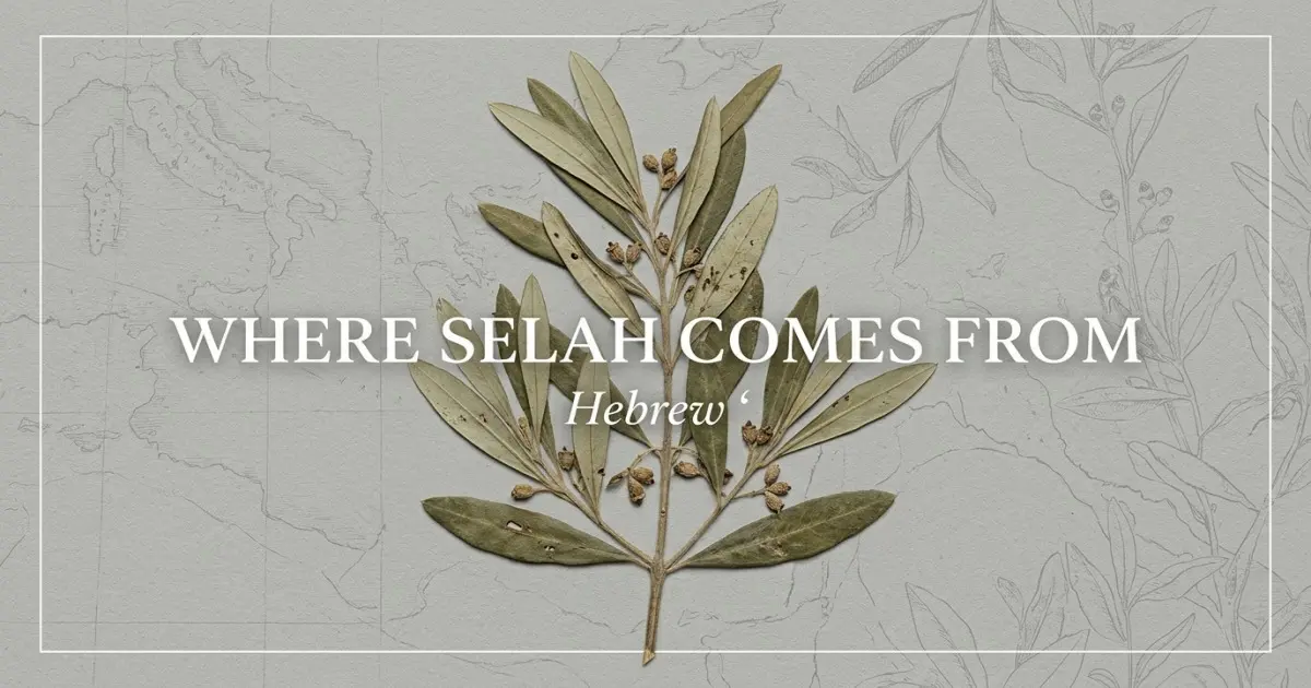 The name Selah comes from: Hebrew