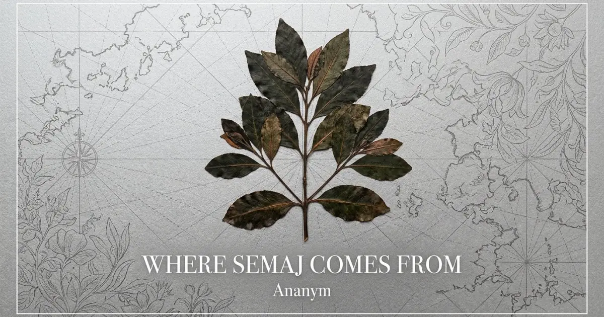 The name Semaj comes from: Ananym