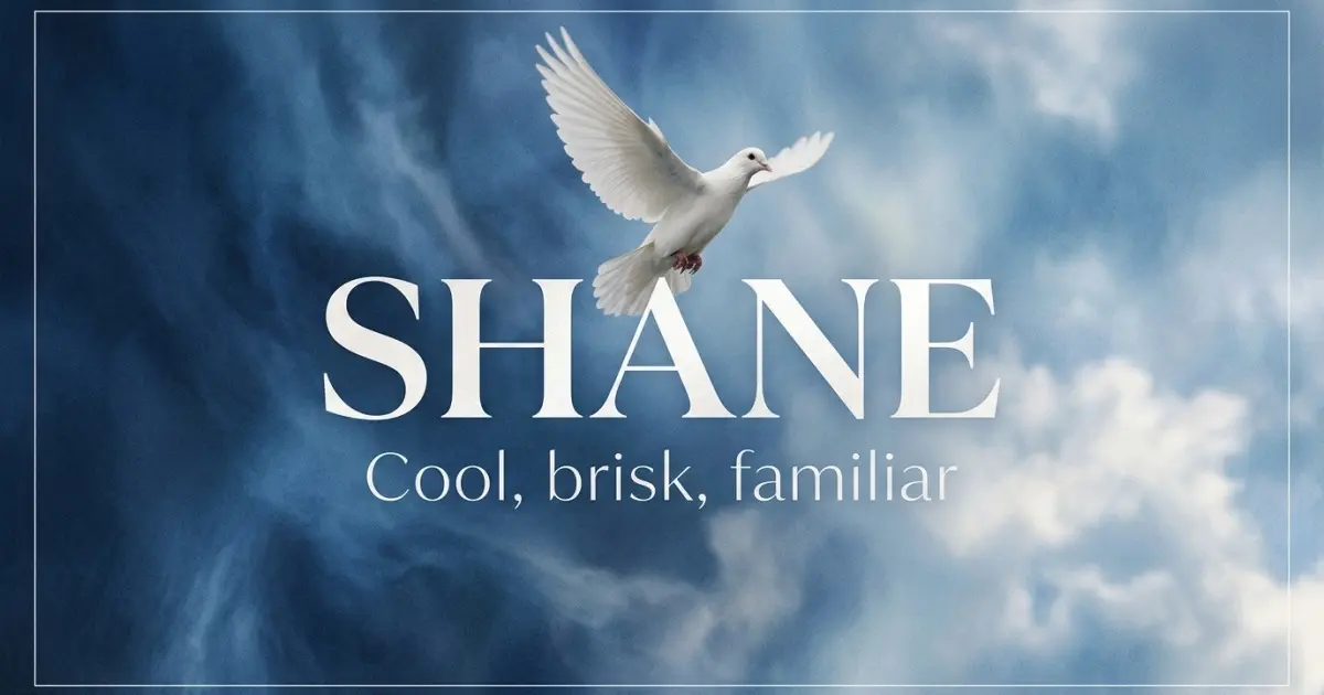 Shane name vibe: Cool, brisk, familiar