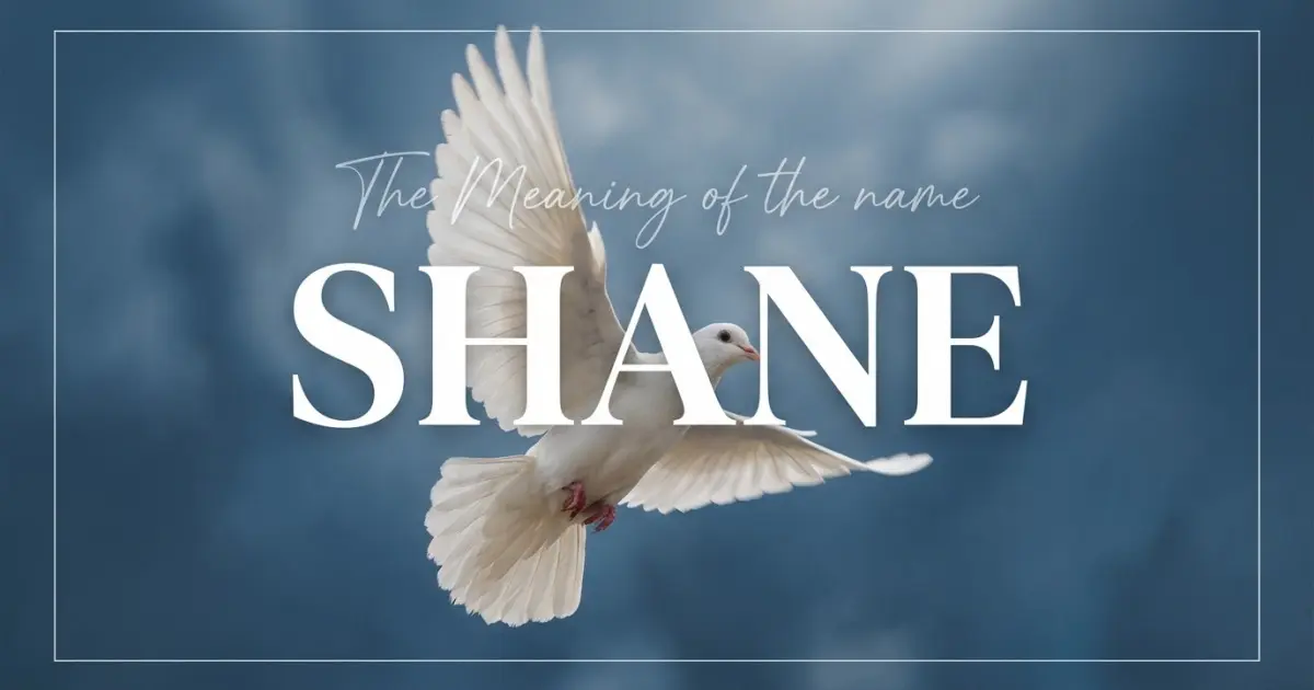 Shane name meaning