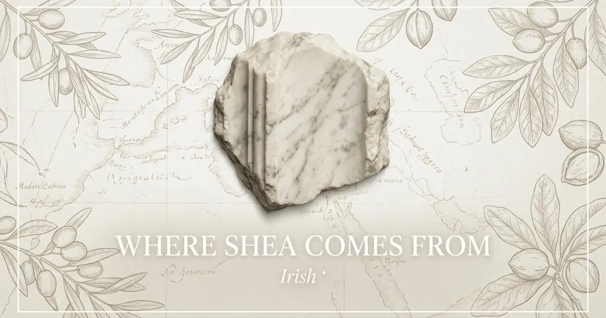 The name Shea comes from: Irish