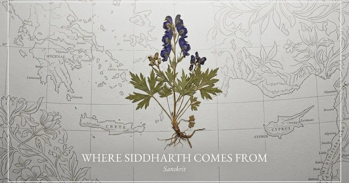 The name Siddharth comes from: Sanskrit