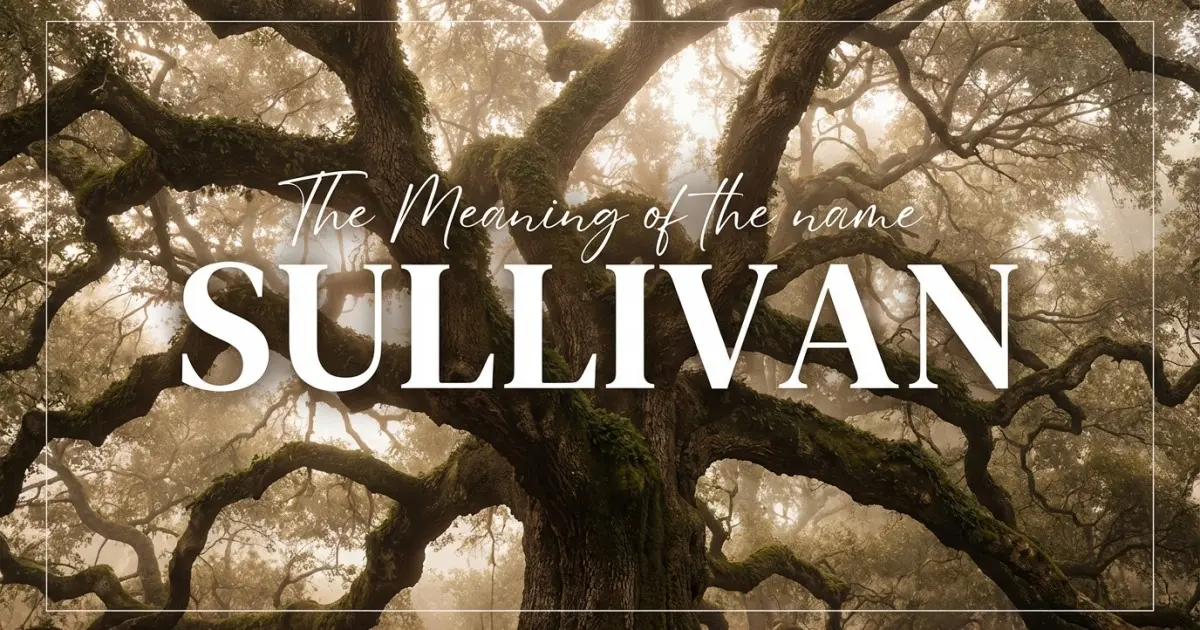 Sullivan name meaning