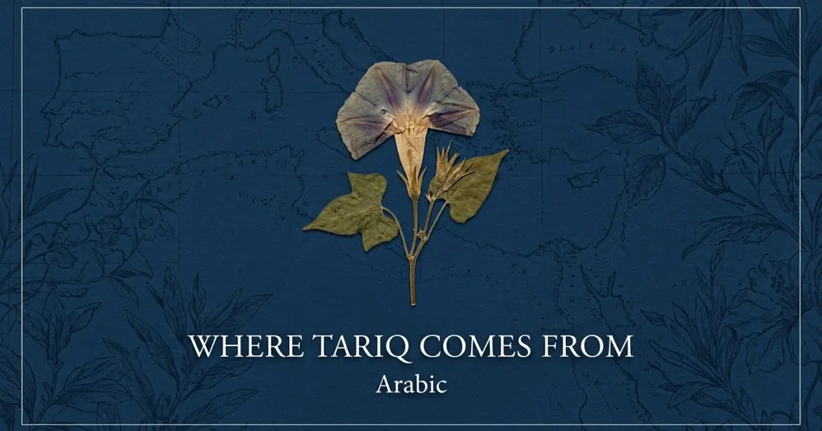 The name Tariq comes from: Arabic