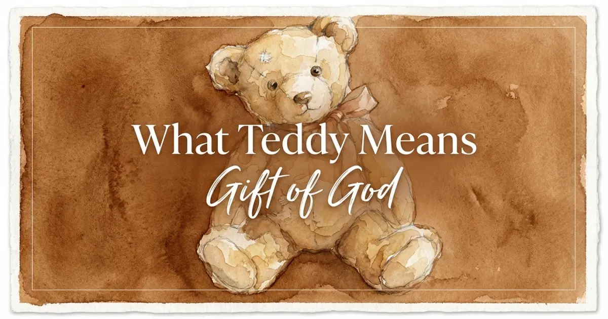 What Teddy Means