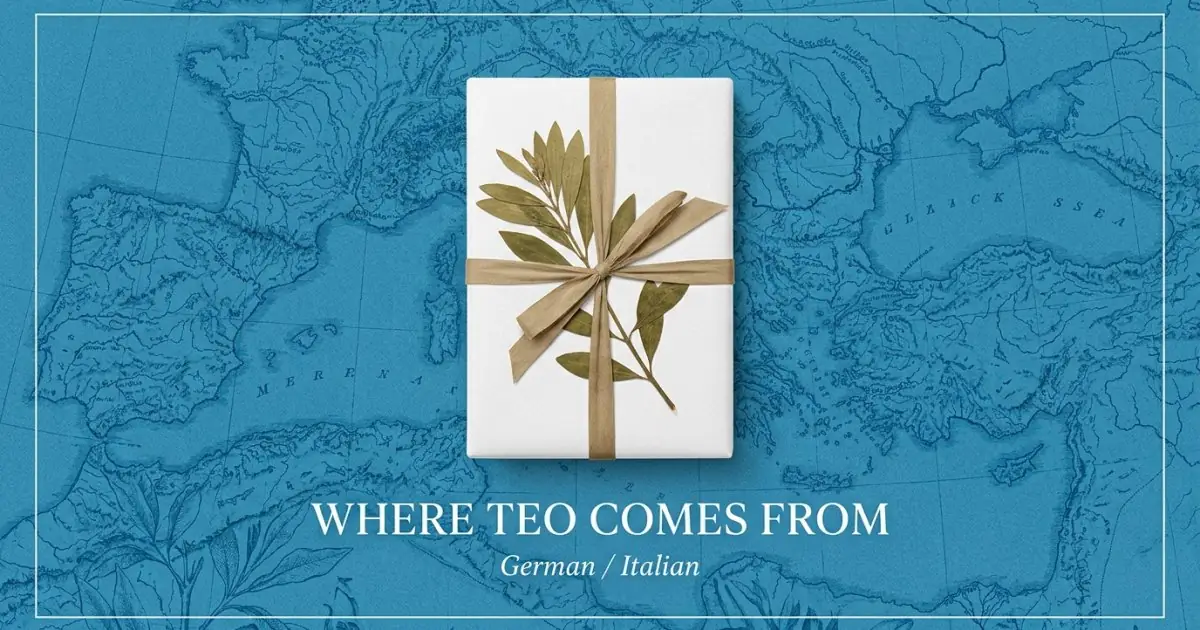 The name Teo comes from: German / Italian