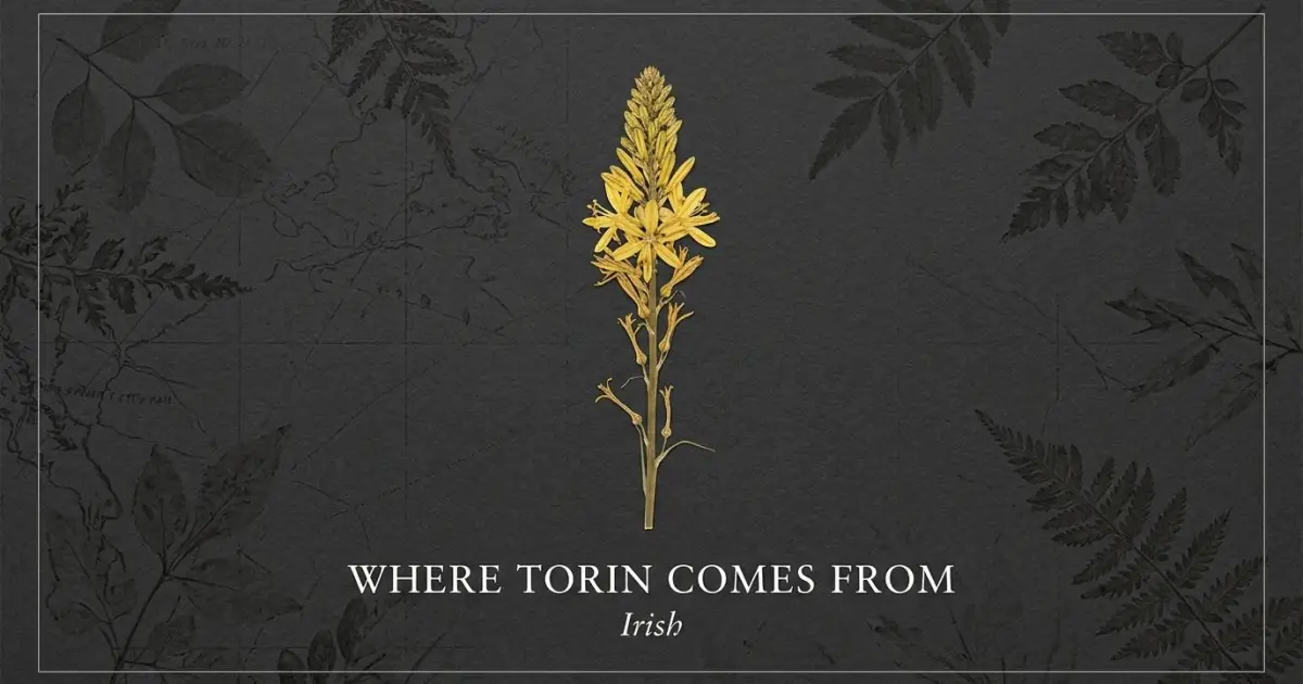 The name Torin comes from: Irish