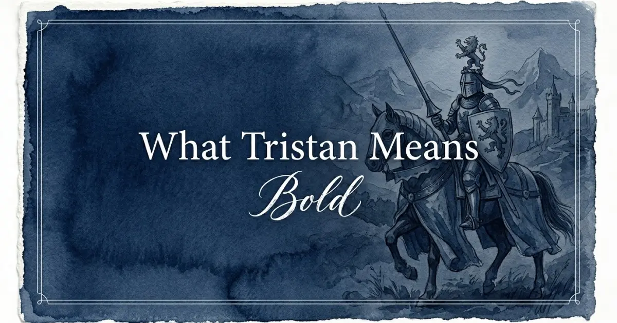 Tristan name meaning Bold