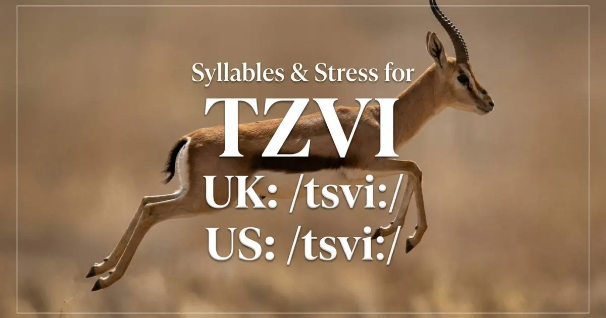 Tzvi syllables, stress, and UK and US pronunciation