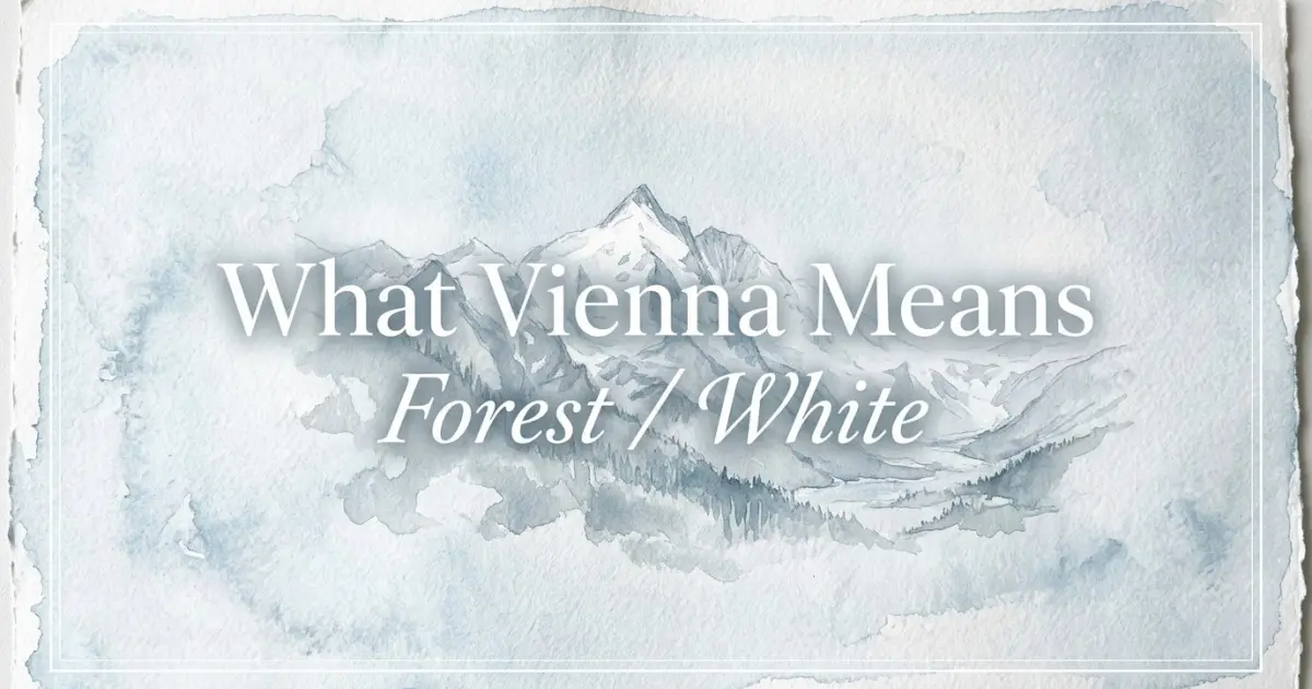 Vienna name meaning Forest / White