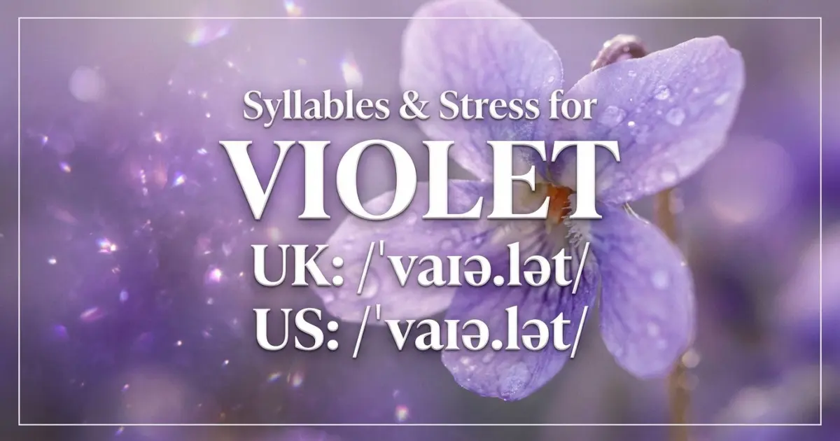 Violet Syllables Stress Pronunciation