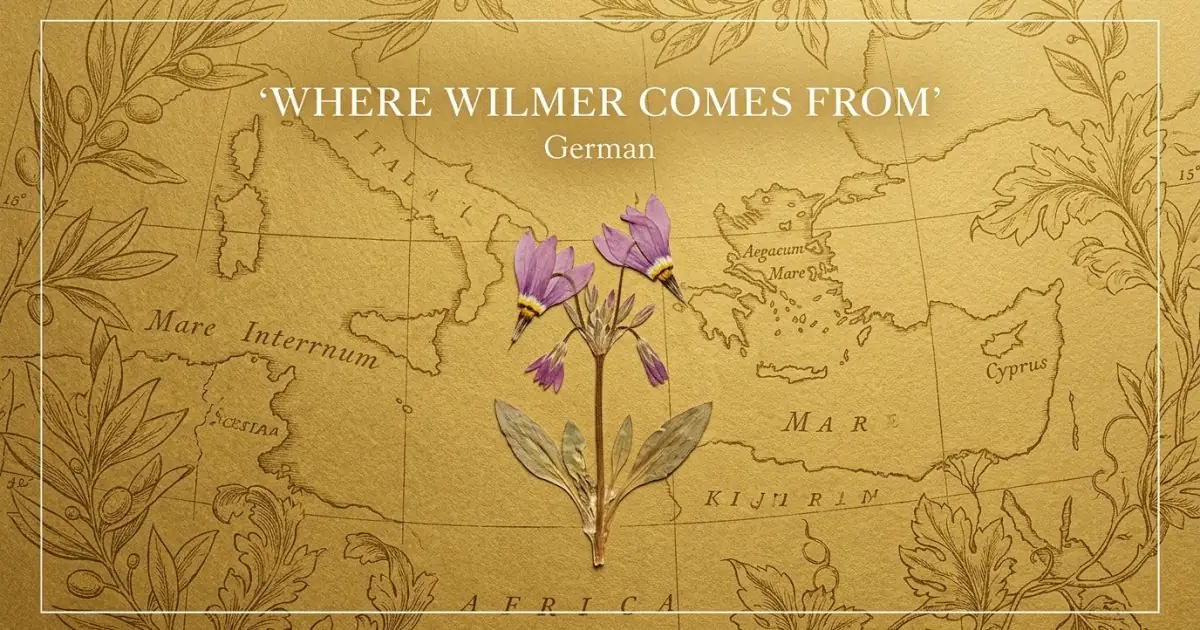 The name Wilmer comes from: German