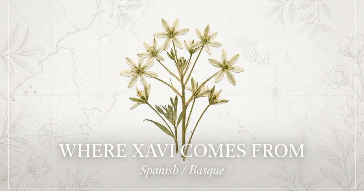 The name Xavi comes from: Spanish / Basque