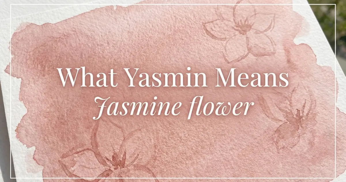 Yasmin name meaning Jasmine flower