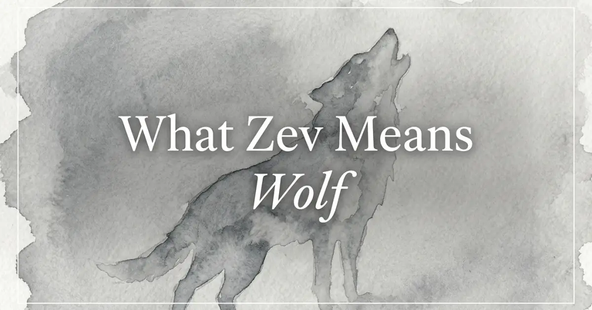 Zev name meaning Wolf